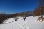 Clicca qui per vedere l'immagine in dettaglio